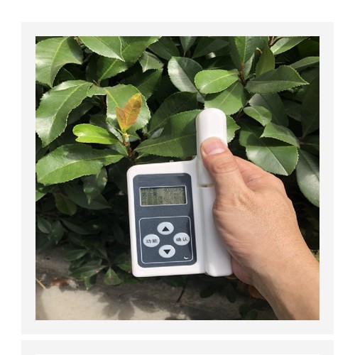 叶绿素测定仪(中西器材) 型号:M348488