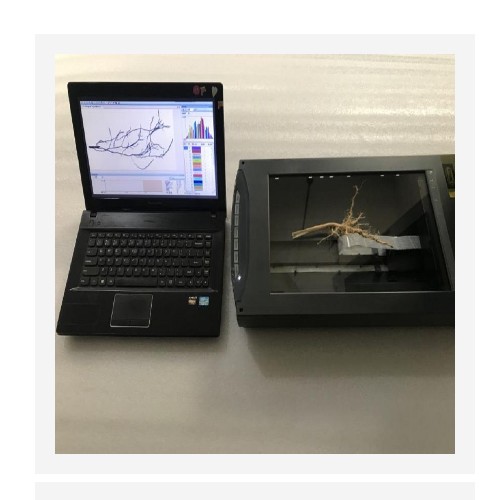 根系分析系统（中西器材） 型号:M348490-GXY-A