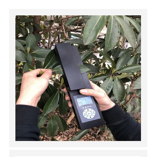 活体叶面积测定仪 （中西器材） 型号:M405662