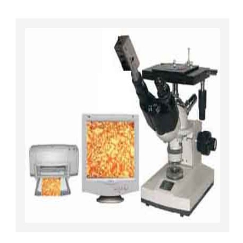 x-γ辐射剂量仪 型号:SMT55-AT1123库号：M202018