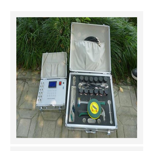 古树名木无损探伤仪（中西器材）LB66-TOP-900库号：M403642