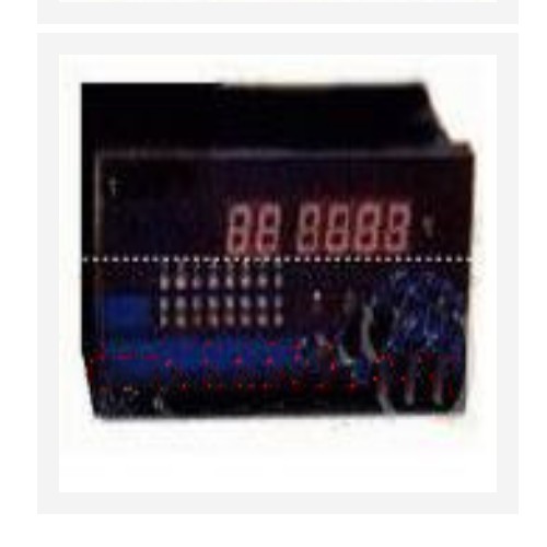 电机温度智能巡检控制仪(中西器材 NA51/DWK-16库号：M393262