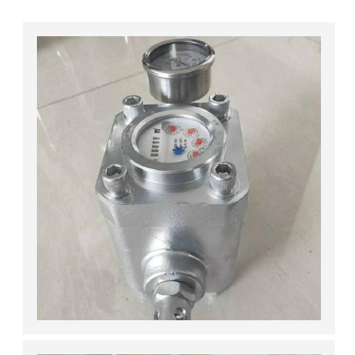 高压流量计（机械式，大30MPA） 型号:SGS库号：M403270