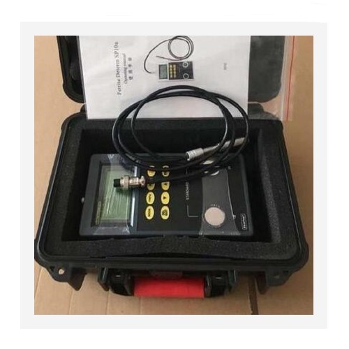 铁素体含量检测仪 型号:GJ01-SP10A库号：M232563