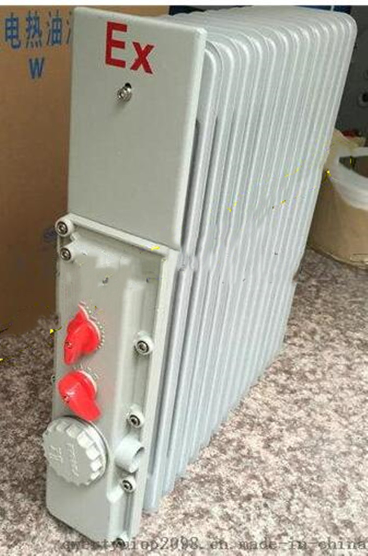 防爆电暖气  3000W 型号:TW133-BDR52/13库号：M38815