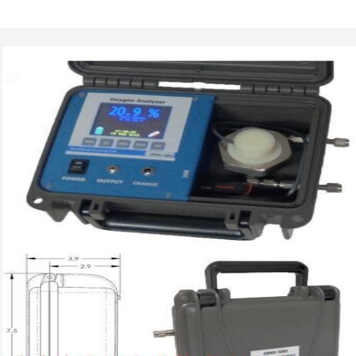 Southland氧量分析仪 型号:MS15-OMD-480库号：M399554