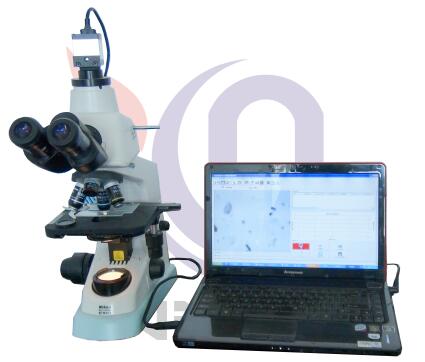 th3600l炭黑分散度检测仪 VY005-th3600l 