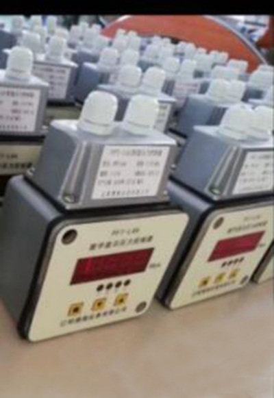 数显压力继电器 型号:BH54-PFT-L4A