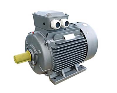 YE2系列三相异步电动机 TJ46-YE2-200L-8