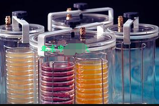 HP050型抽气型厌氧罐 型号:CJ62-HP-050