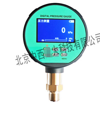 数字压力表 型号:LN-61