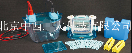 双板垂直电泳仪 型号:LYYQ0-DYCZ-24KS