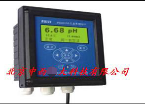 中文在线PH计 型号:CDR2-PHG6610