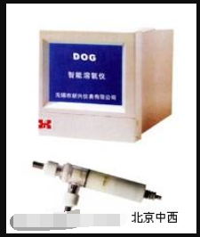 智能溶氧仪 型号:CN61M/DOG2002