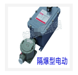 隔爆型电动执行器 型号:KB02-BDF05T-24