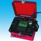 弦式便携读数仪 BM03-LN-1027-VW-2