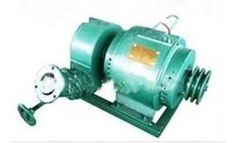 小型水轮发电机 型号:ZX/CJS-5