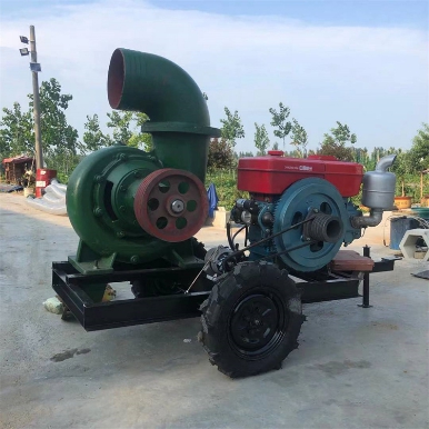 应急抽水泵 型号:KM1-205556