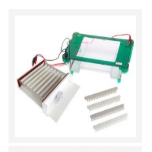 水平 电泳槽   型号:ST16-JY-SPHT