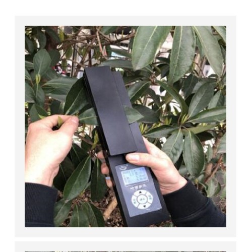 便携式叶面积测定仪（中西器材 TP30-YMJ-A