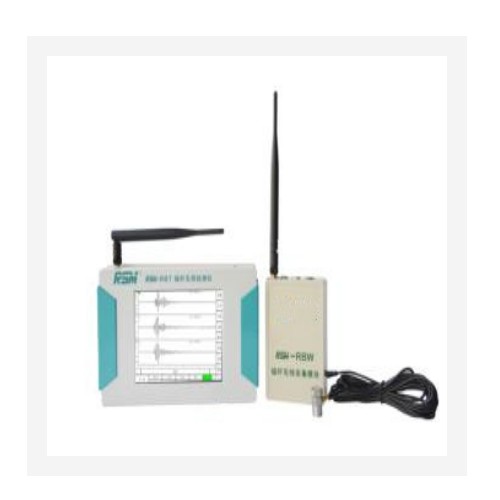 锚杆无损检测仪  型号:RSM-RBT