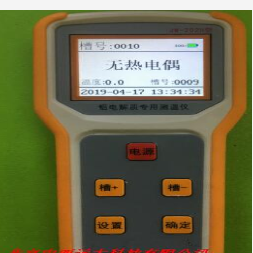 电解质测温仪 型号:FG04-JW-202G