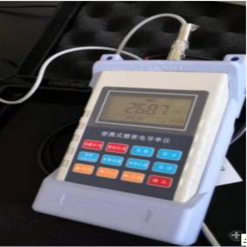 便携式溶氧仪(中西器材) 型号:CH10/M406267