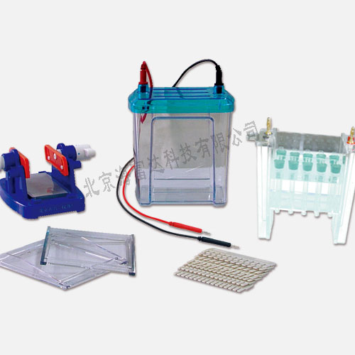 双向电泳仪 型号:BL61-DYCZ-26B