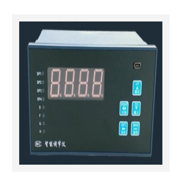 智能压力计 型号:XY31-YDM-121A