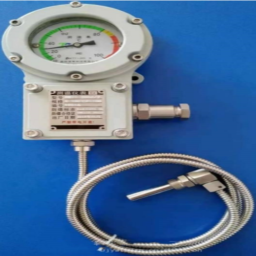 测温仪表 HD888-BWTY-205Z库号：M59393