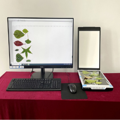 叶片图像分析仪（不含电脑） 型号:G23-FS-leaf1000库号：M361016