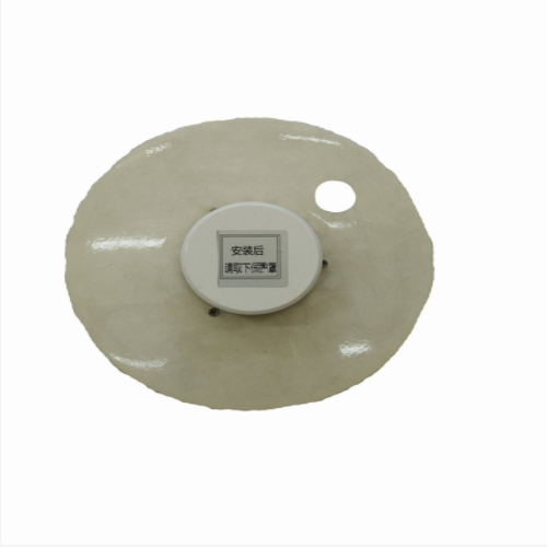 总辐射记录仪（中西器材） 型号:ZXZFS-24库号：M342215