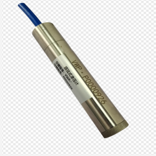 渗压计 型号:KM1-VWP-1.0库号：M408422