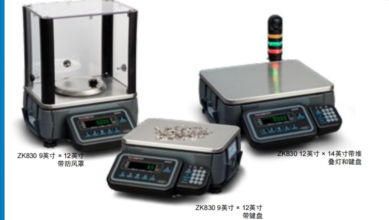 电子台秤 10LB 型号:TK477-ZK830库号：M38506