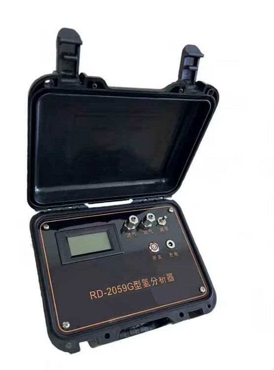 便携式氢气检测仪 型号:RD-2059G库号：M409141