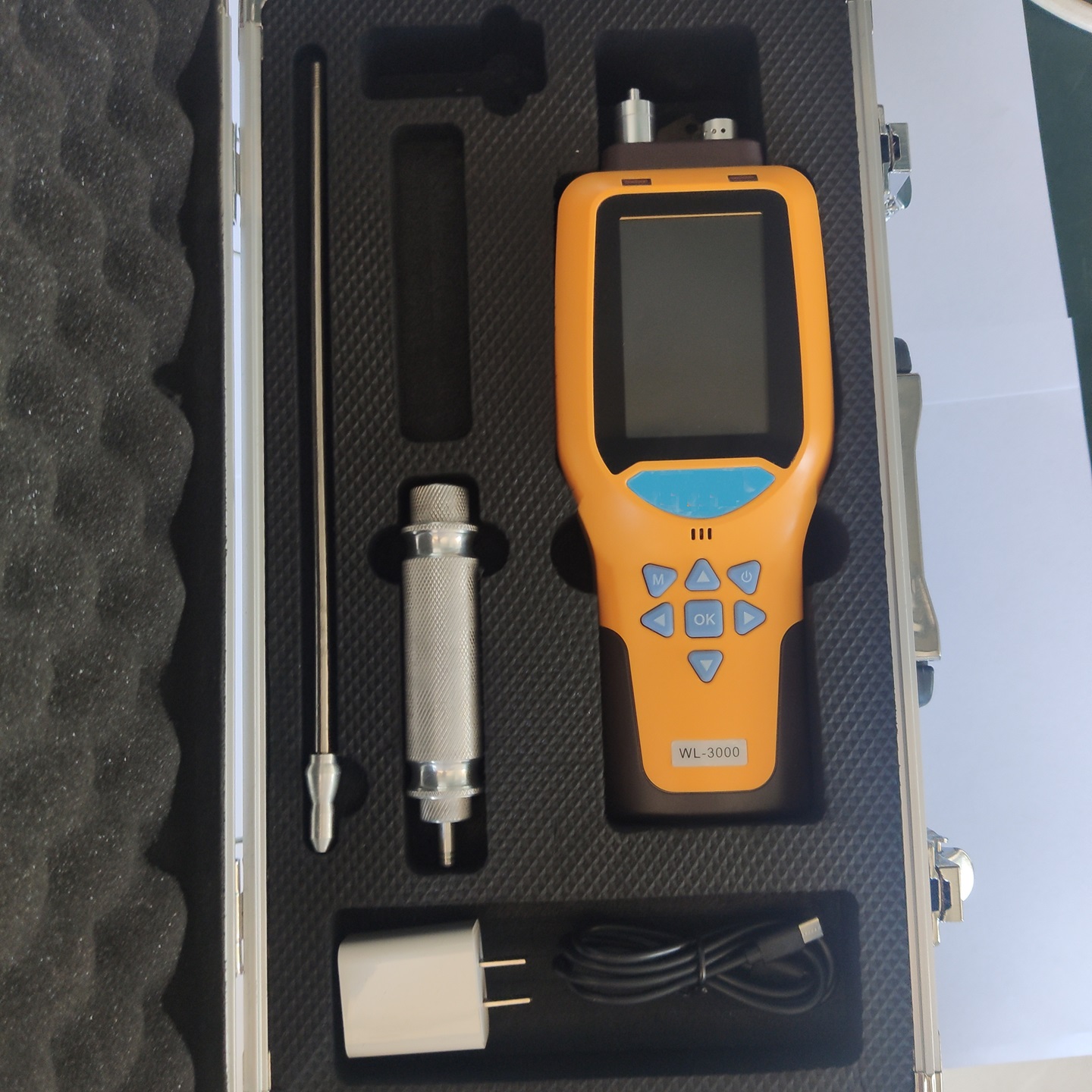 泵吸式氧气检测仪 型号:DLW0-WL-3000库号：M410139