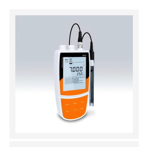 便携式pH/溶解氧仪  型号:DN40-Bante903P库号：M391109