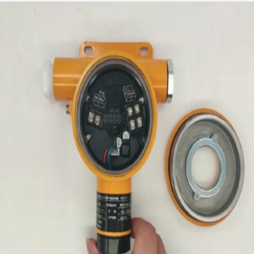 硫化氢气体报警器 型号:C610库号：M410954