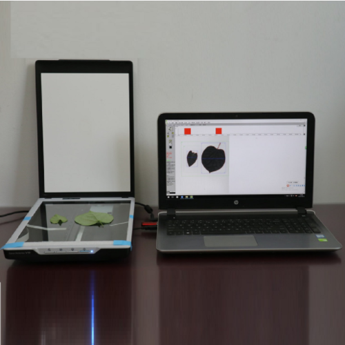 针叶图像分析仪 型号:TT34-FS-leaf1000Z库号：M364387