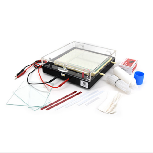 等电聚焦电泳仪 型号:CN61-DYCP-37B库号：M394560