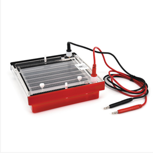 快速凝胶电泳仪 型号:CN61-DYCP-44P库号：M394558