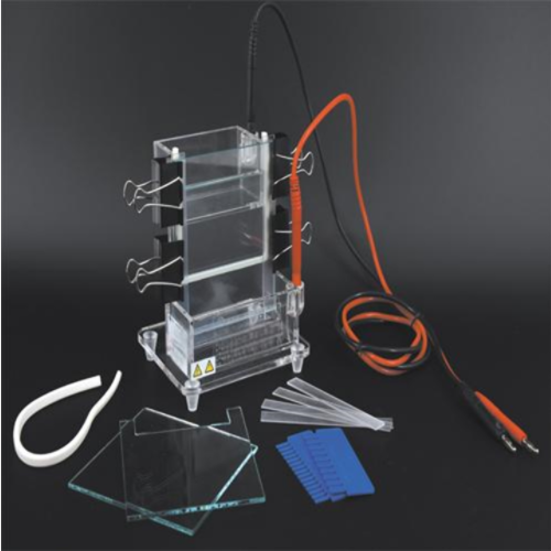 小型单垂直电泳仪 型号:WJ/DYCZ-23A库号：M393570