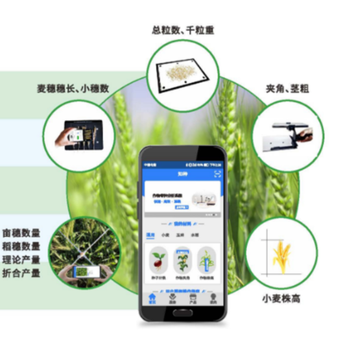 小麦表型检测系统（中西器材） 型号:ZXXMBX-2库号：M358488