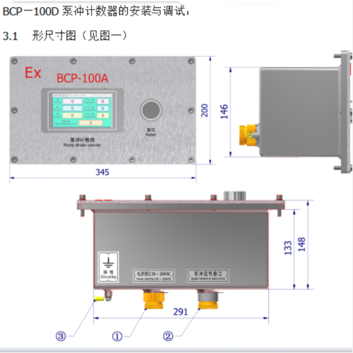 泵冲计数器 型号:XY811-BCP-100D库号：M259275