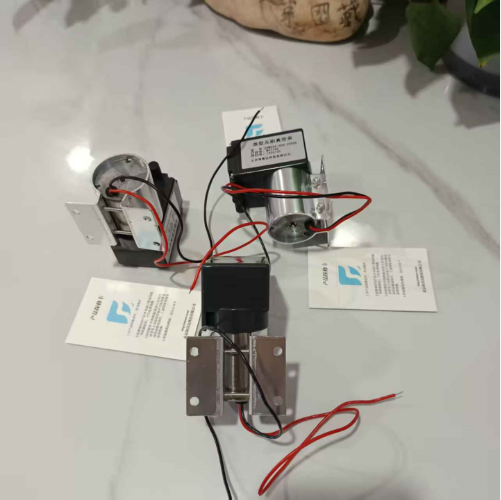 直流抽气泵 中西器材 型号:OW922-ZXW312-6004-3700 库号：M399618