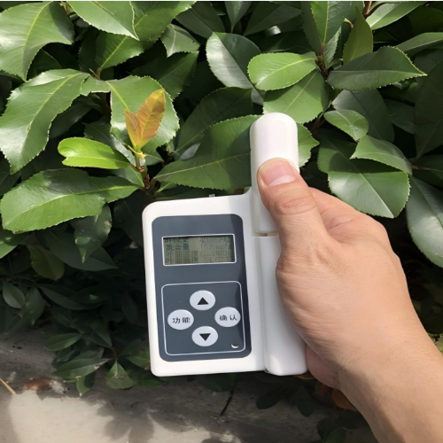 叶绿素测定仪 型号:LP72-LYS-B 库号：M403975
