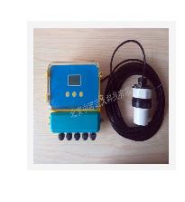 声波液位计 型号:HY41-TDS-100  库号：M385418