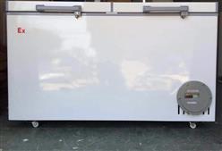 防爆冰箱 冰柜 卧式 型号:DX15-BL-1800L/WS库号：M263255