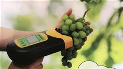 苹果品质检测仪 型号:BD6C-H100F库号：M399056