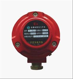 防爆消防压力开关 型号:PA011-PA-ZSJY库号：M391747